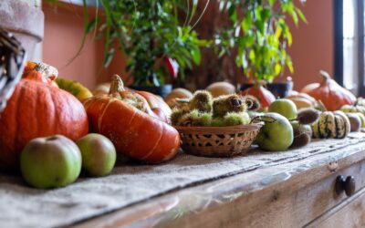 Gratitude, Connection, and Plant-Powered Thanksgiving: Nourishing Body and Soul